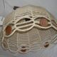 1970s Scandinavian suspension style