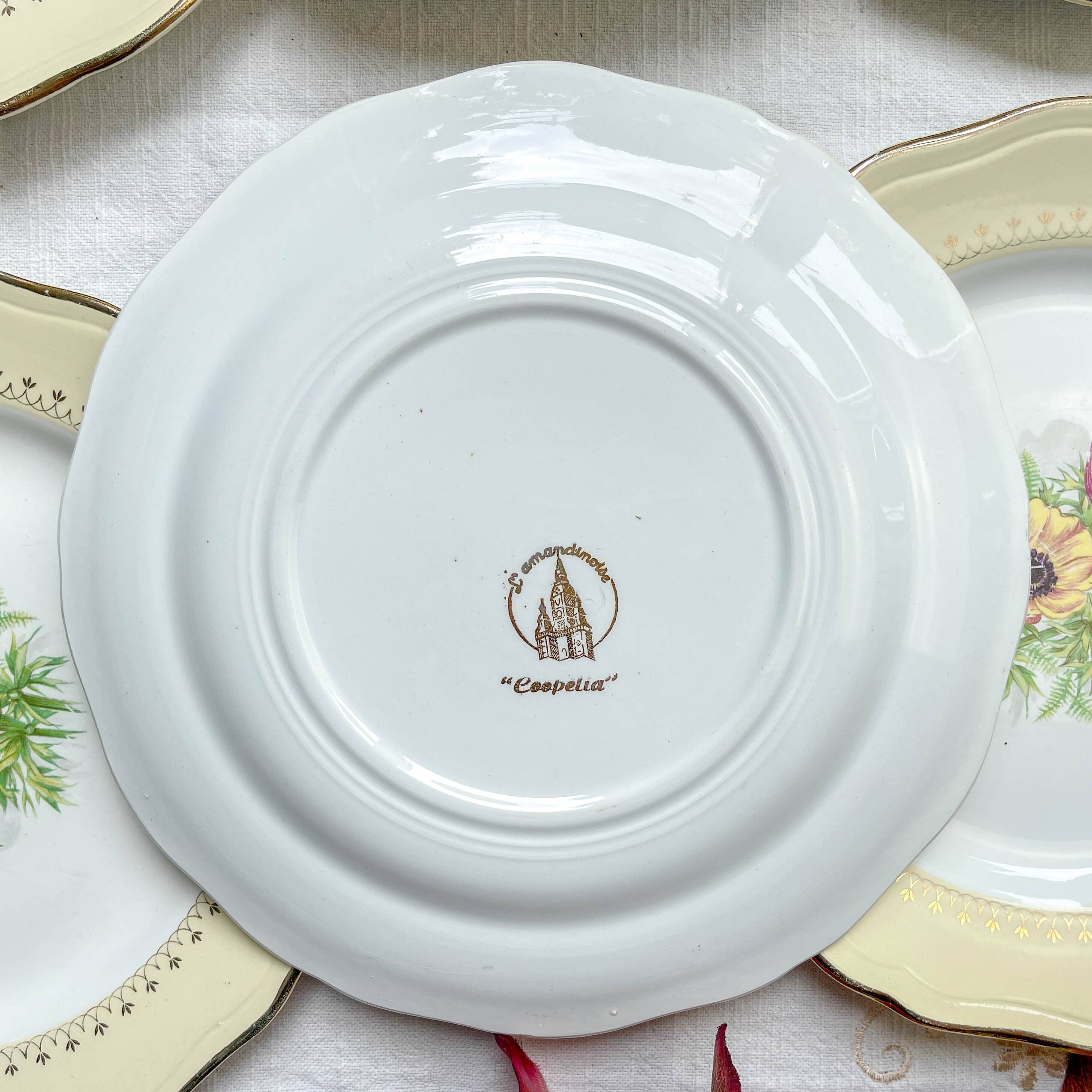 6 vintage porcelain dinner plates with white and golden yellow floral pattern L'Amandinoise "Coopélia" - Vintage floral tableware