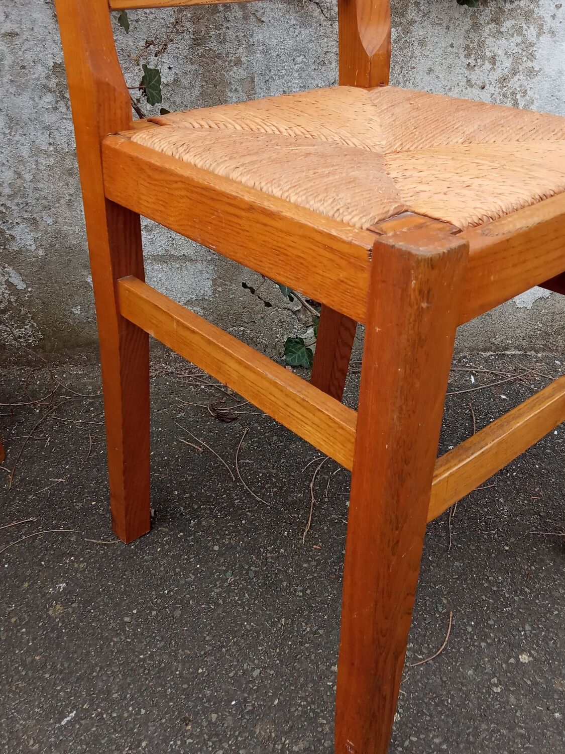 Paire de chaises paillées années 50