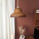 Braided wicker suspension