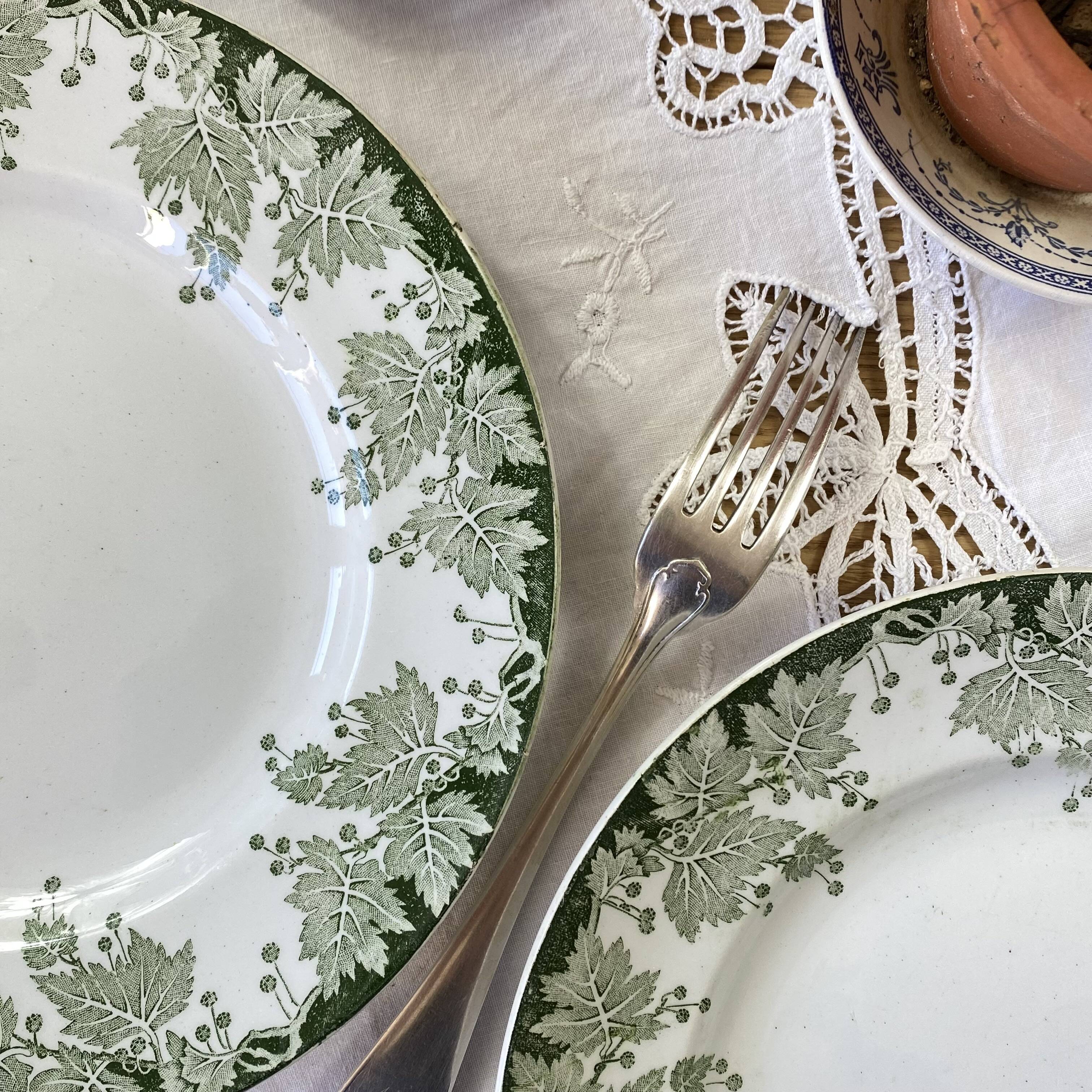 6 flat plates in ironstone from Saint Amand and Hamage, Platane green model.