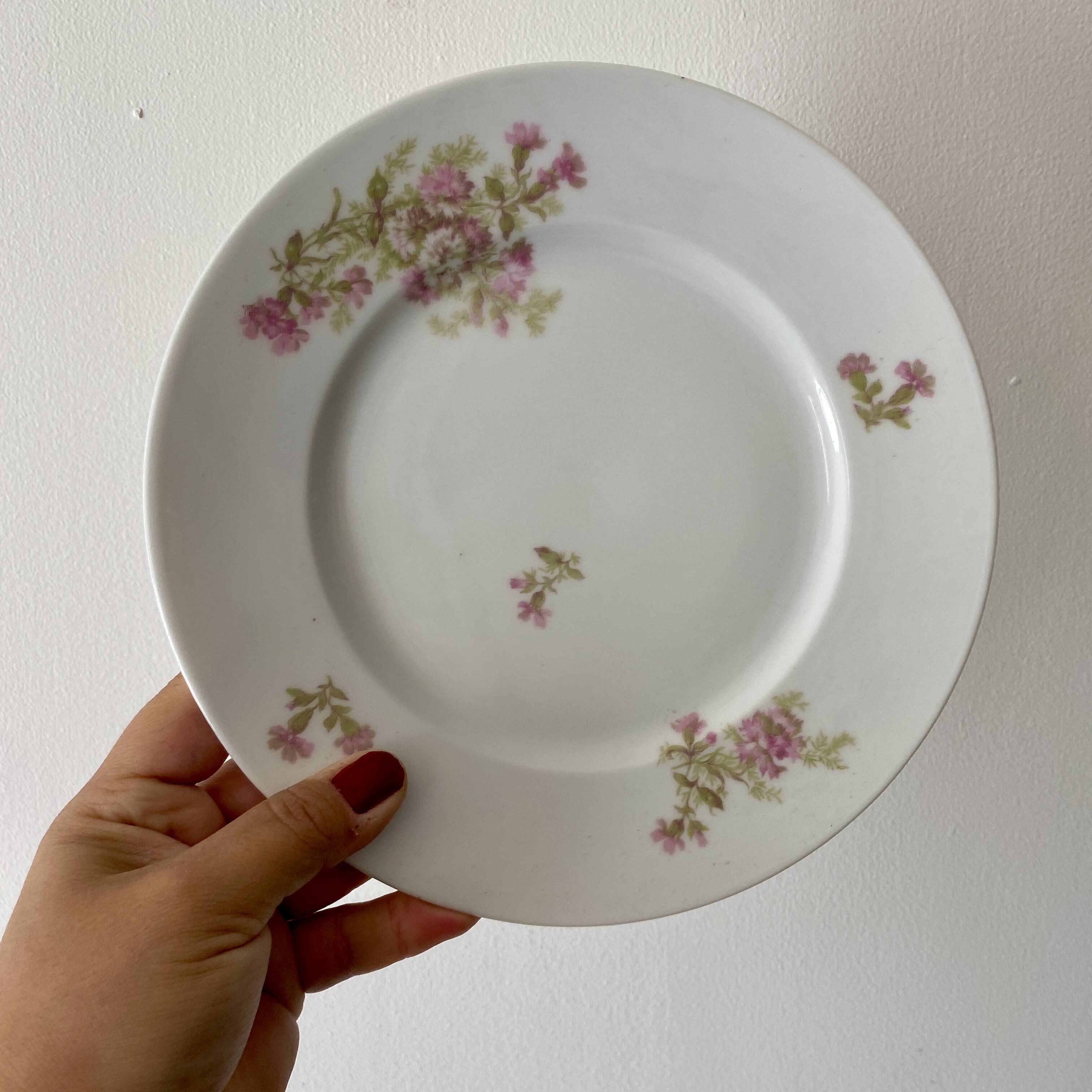 Lot de 10 assiettes à dessert vintage en porcelaine