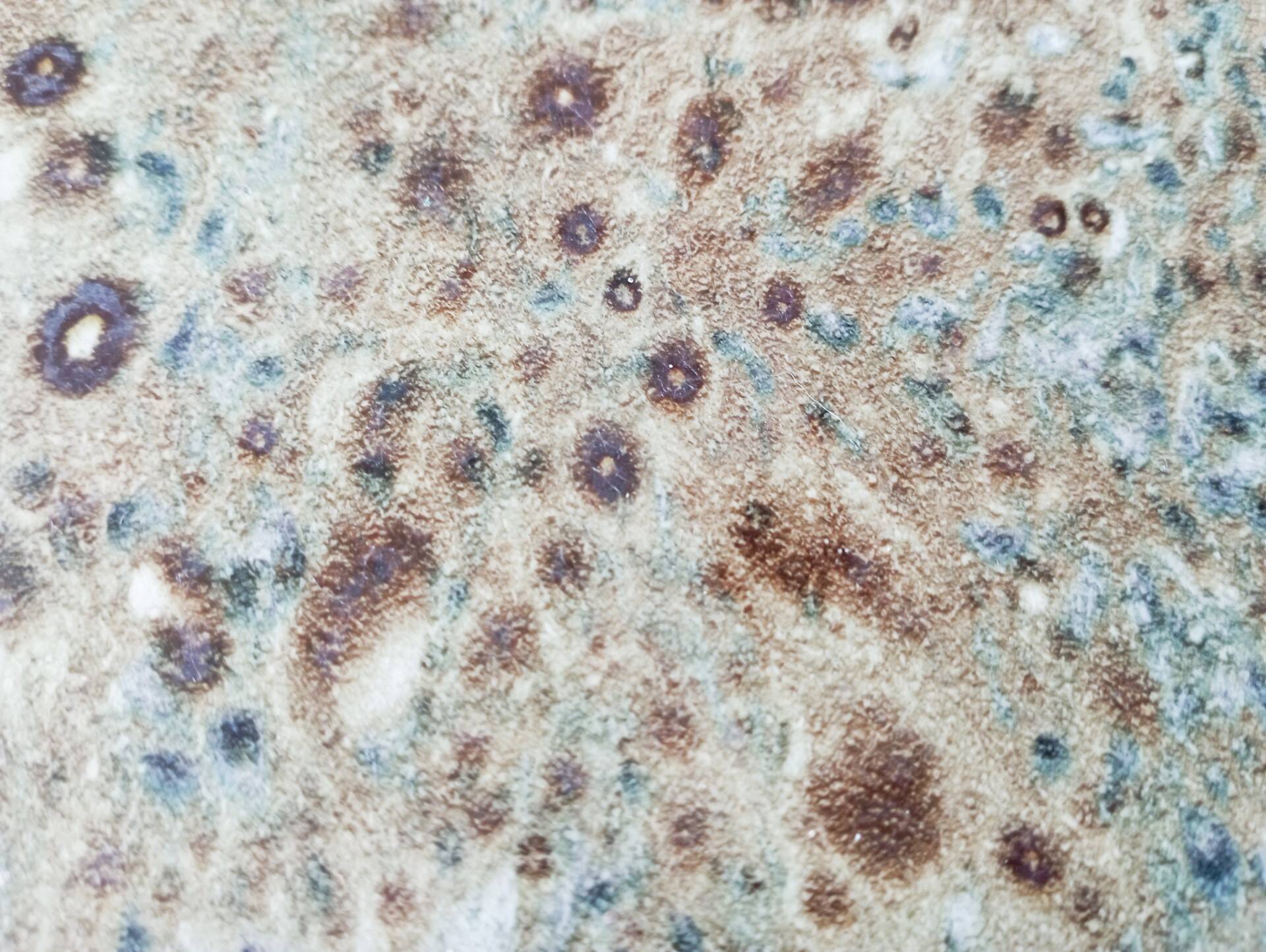 Old wood and ceramic trivet