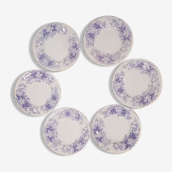 Set of 6 plates Sarreguemines model Bryonia