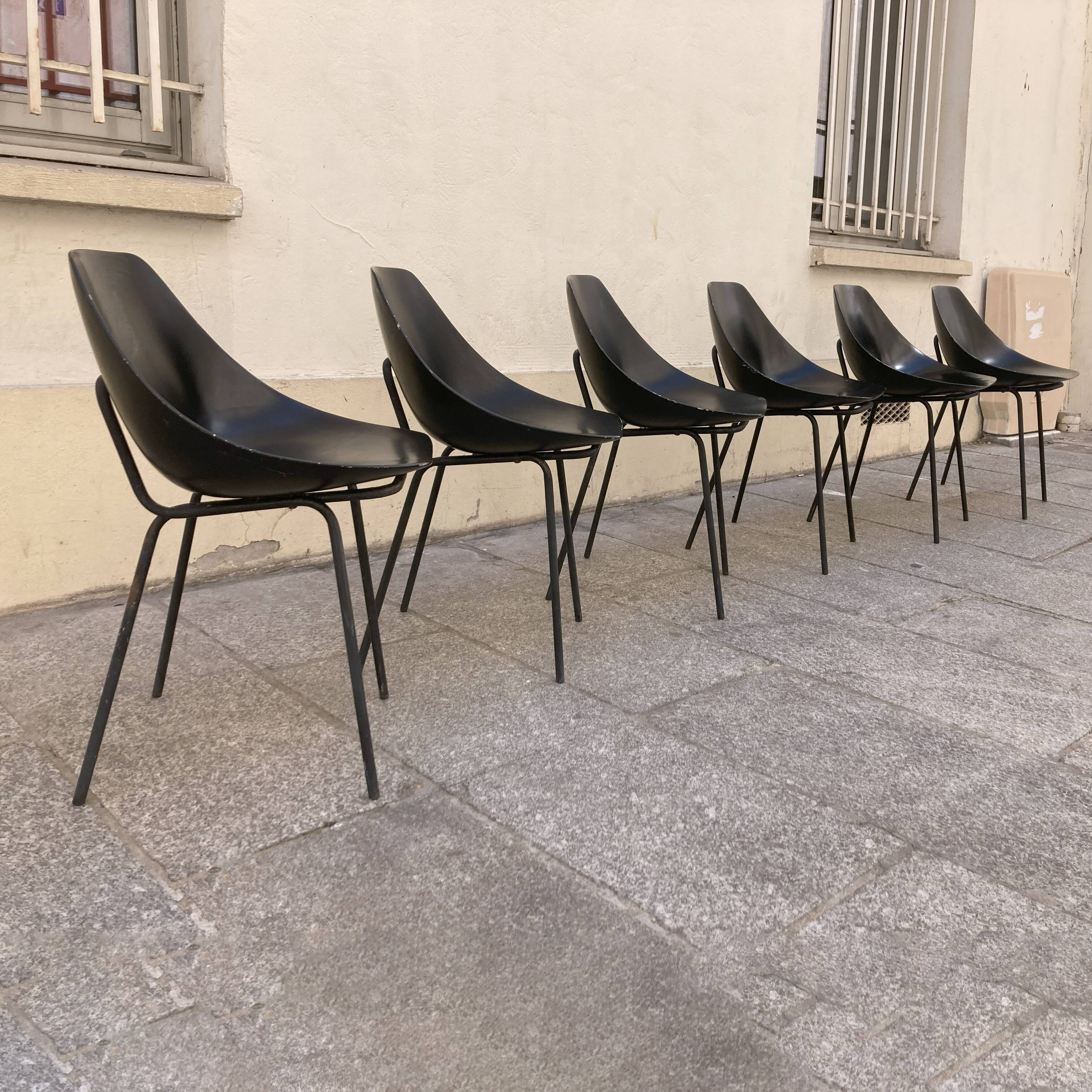Shell chairs, Pierre Guariche 2000s edition