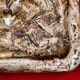 Ceramic arm 70 prehistoric animal decor/Parietal art/Rock art