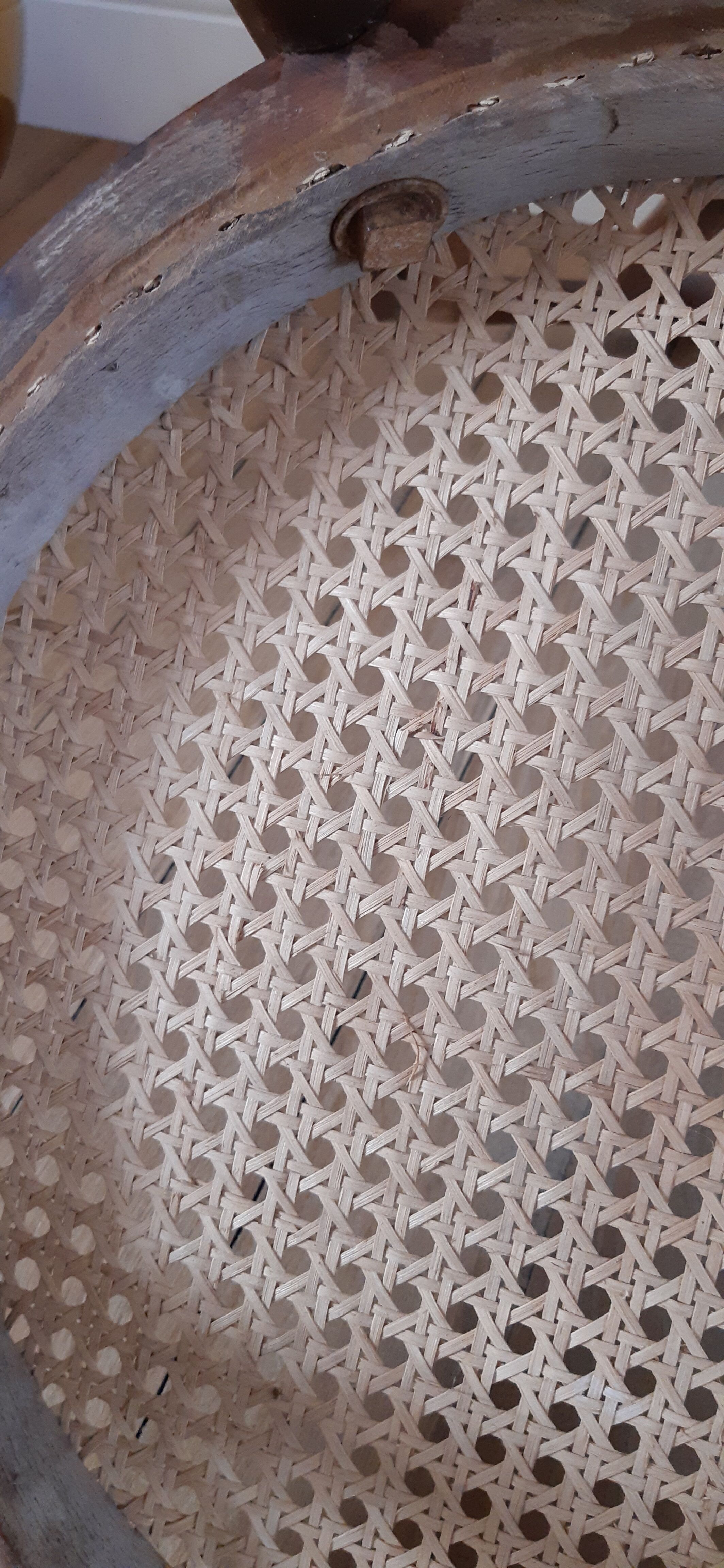 Chair in bentwood and canning XIXth