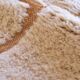 Contemporary Beige Rug - 298 x 253 cm