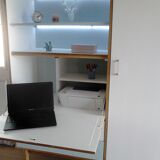 Vintage secretary restyled