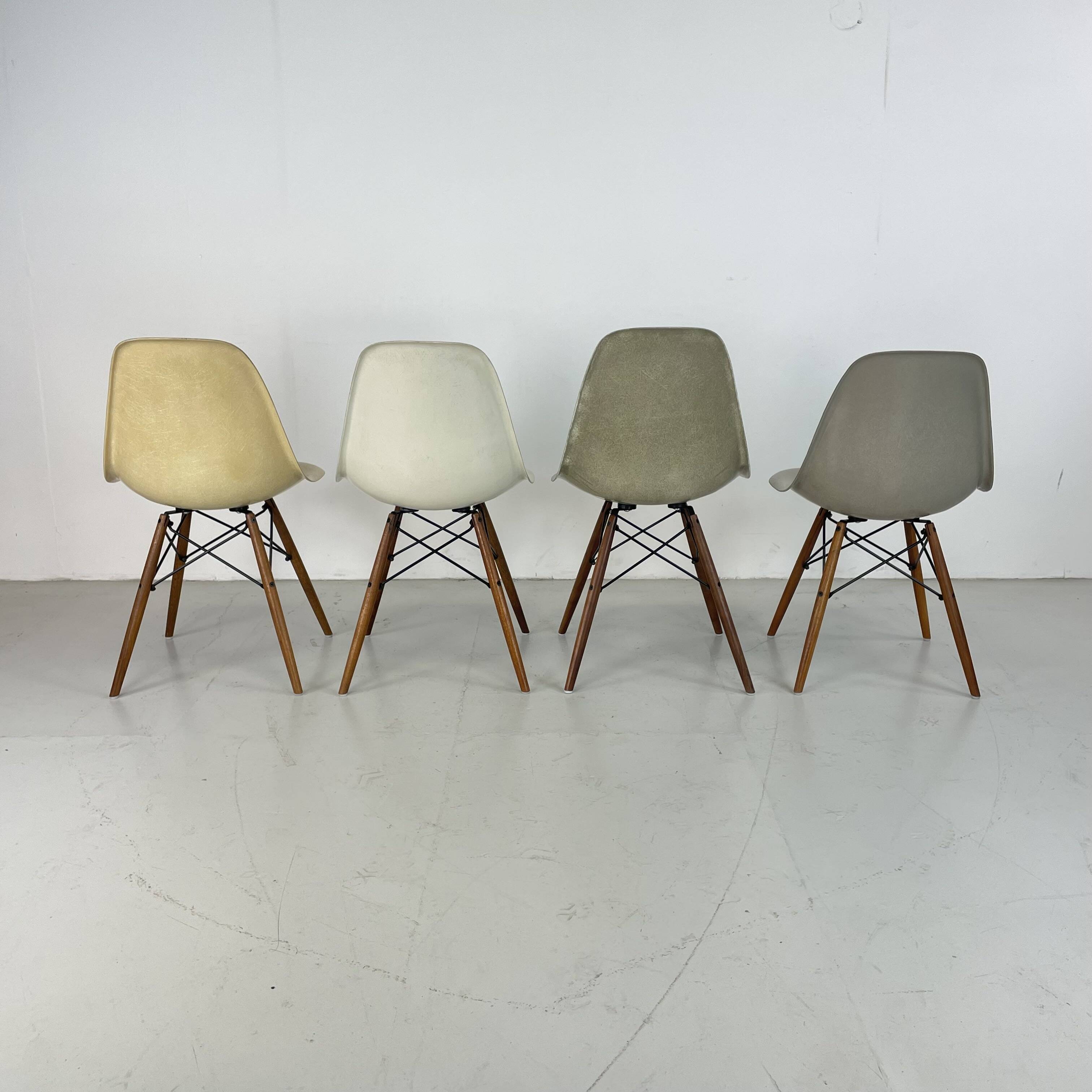 Chaises d'appoint Eames Herman Miller DSW en grège, vert écume de mer, ocre clair et parchemin avec léger