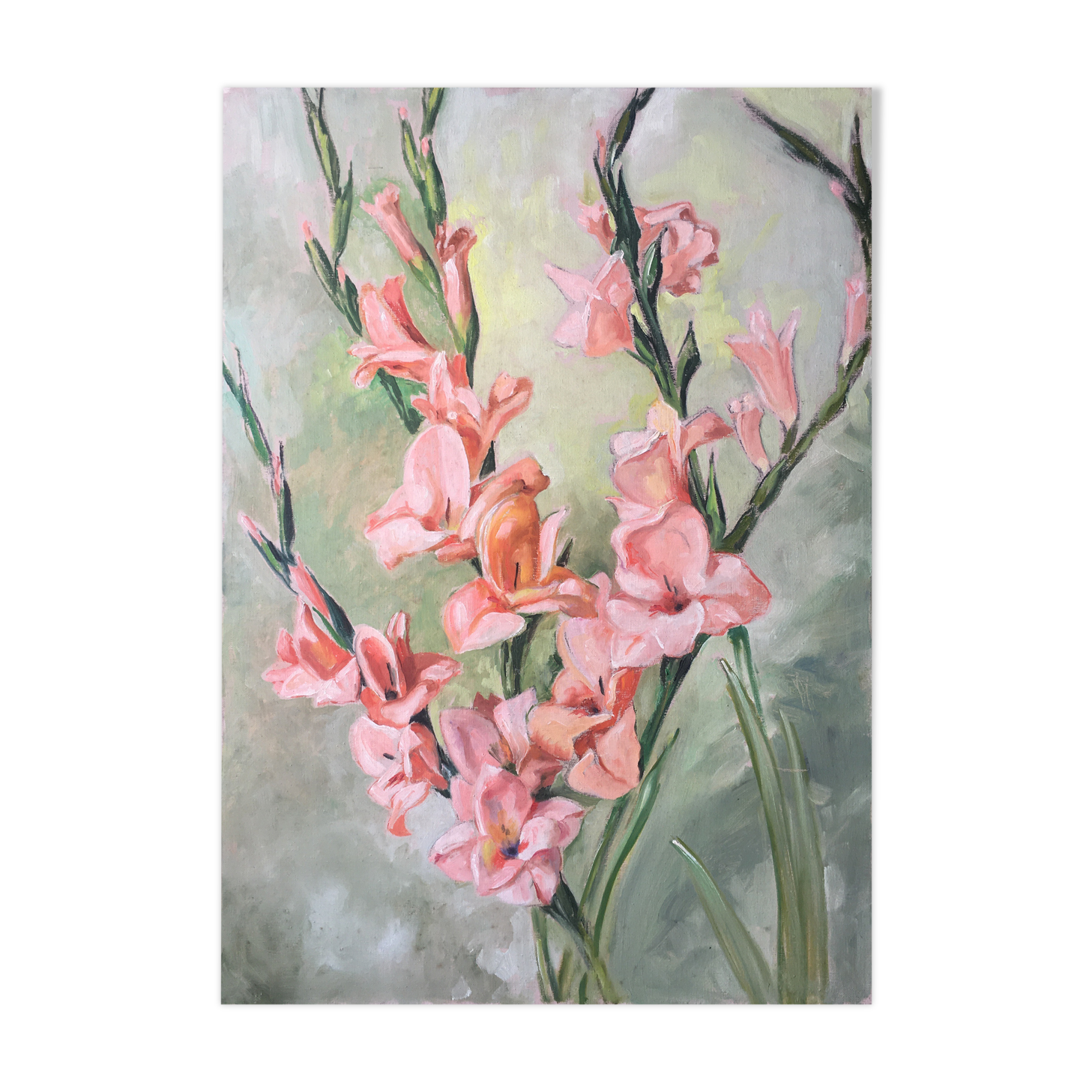 Painting "Bouquet of Pink Glaïeuls of the Garden" Flowers