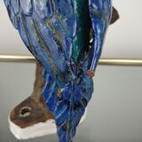 Enamelled ceramic parrot signed Maillard