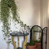 Pedestal table