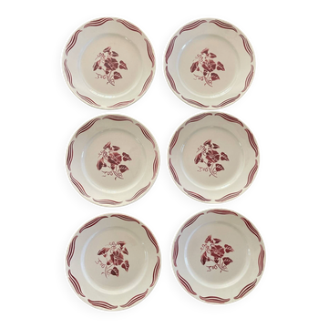 6 Flat plates Fenal Badonviller Liserons pattern