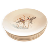 6 Villeroy and Boch dinner plates. Bird pattern.