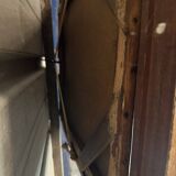 Still life oil on canvas