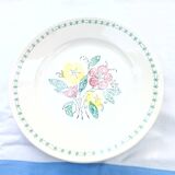 6 old flat plates