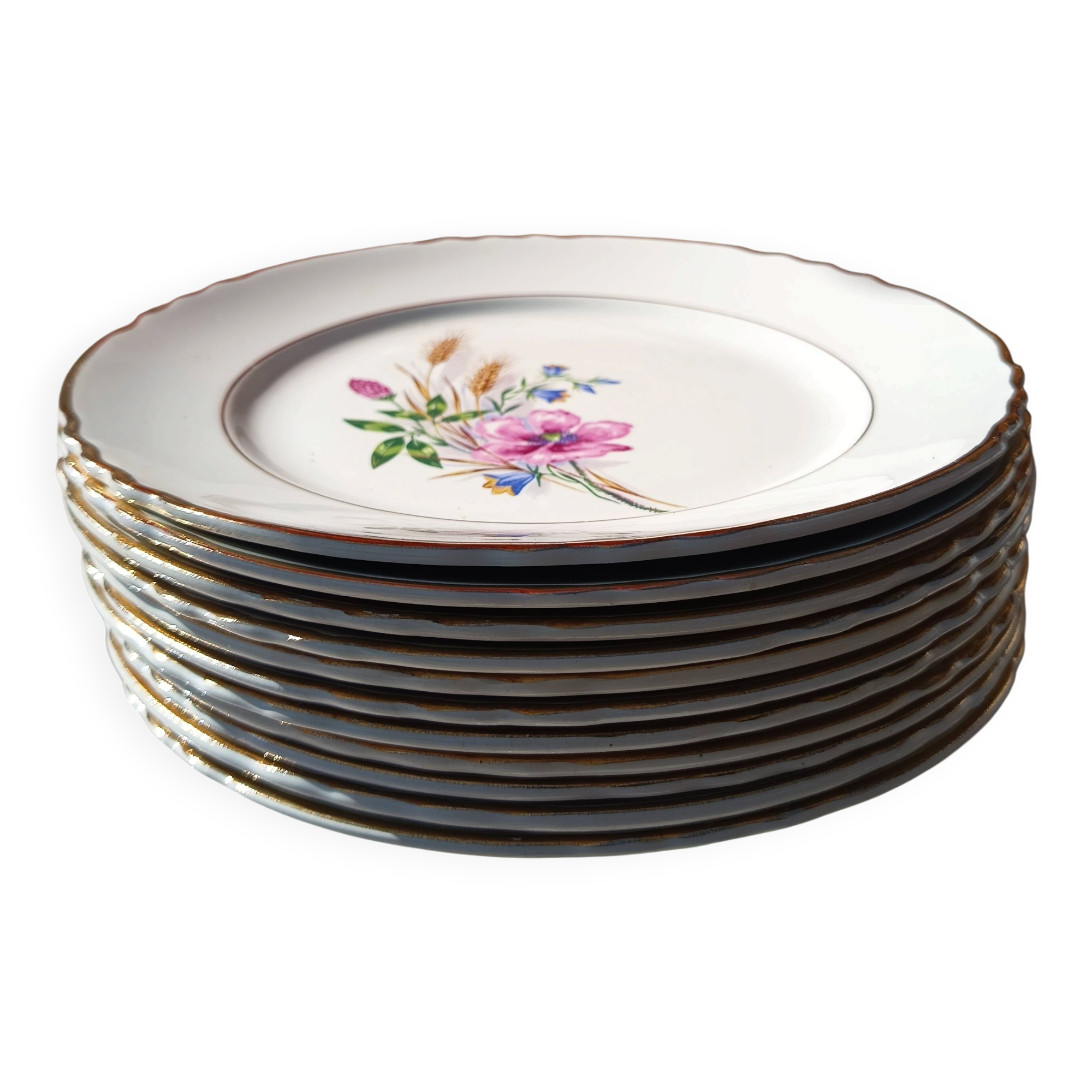 Lot de 11 assiettes fleurales champêtre