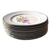 Lot de 11 assiettes fleurales champêtre