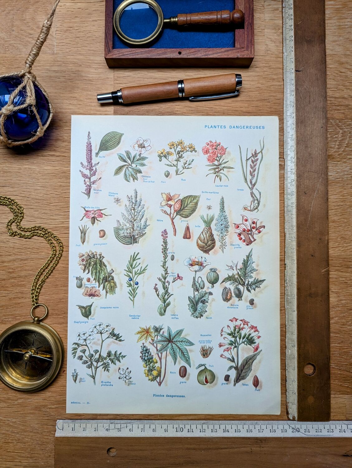 Printed in 1954, Dangerous Plants.