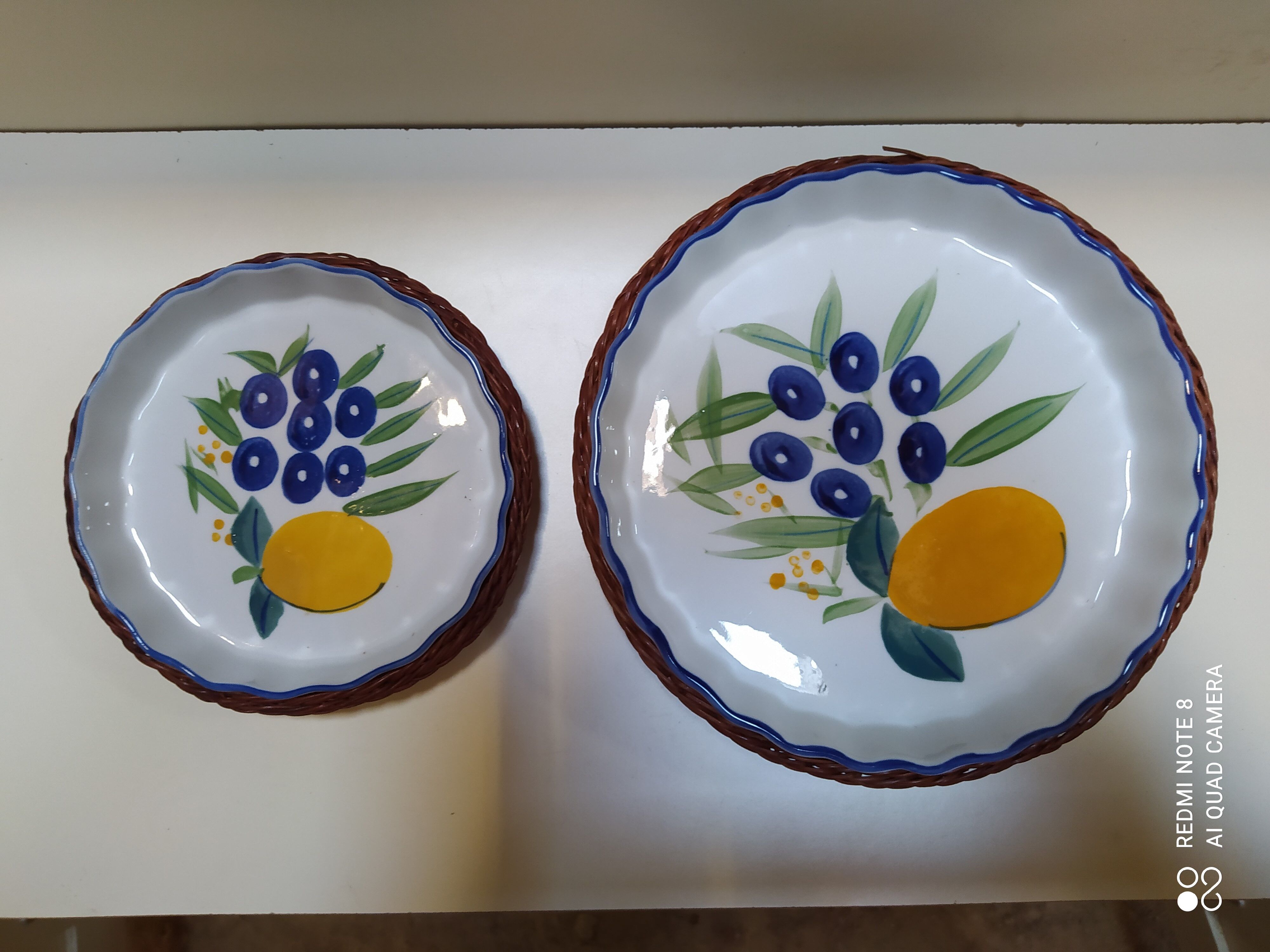 Pair of round dishes for the oven