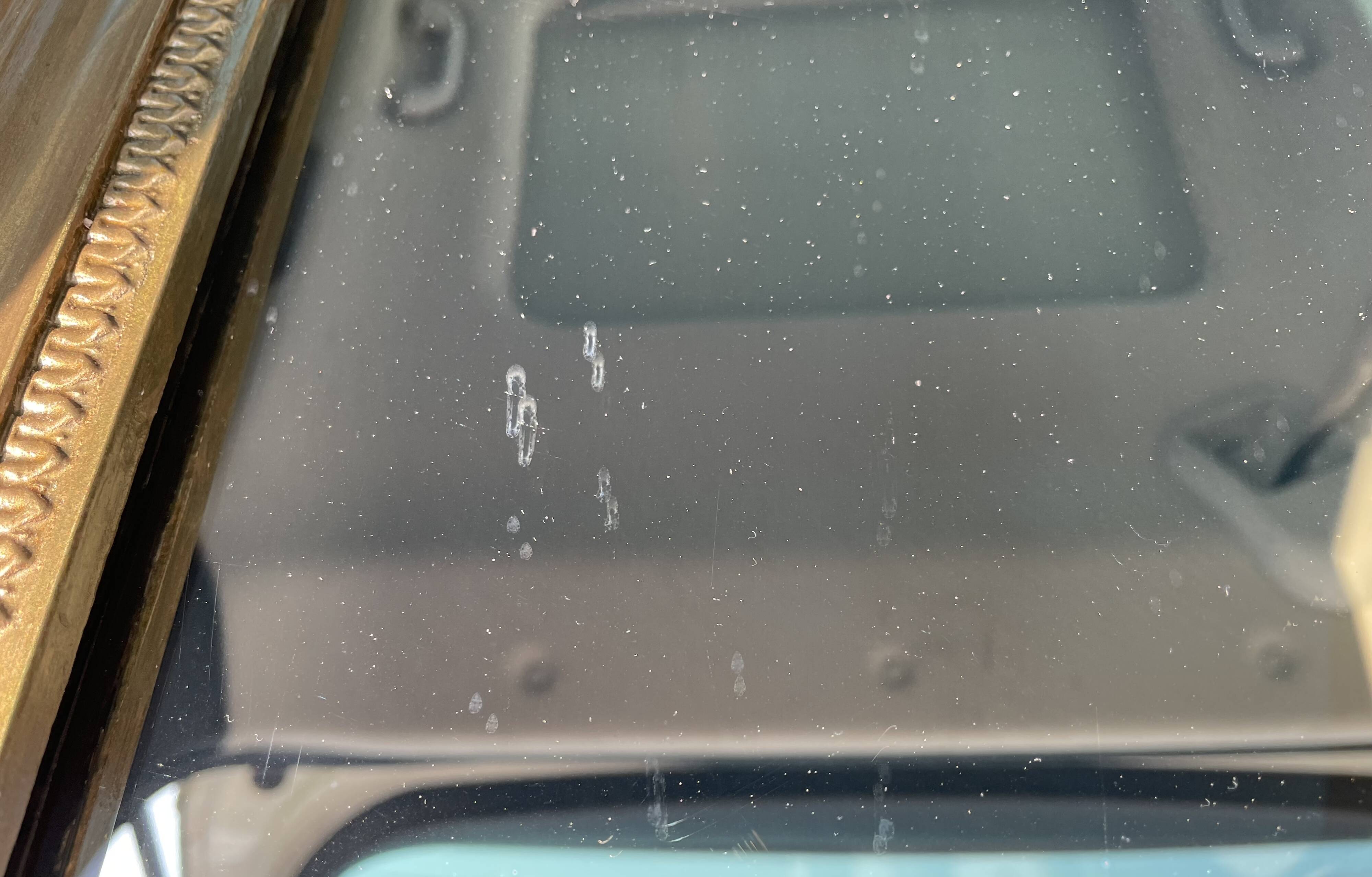 Miroir Napoléon III fronton oiseaux 112 x 67