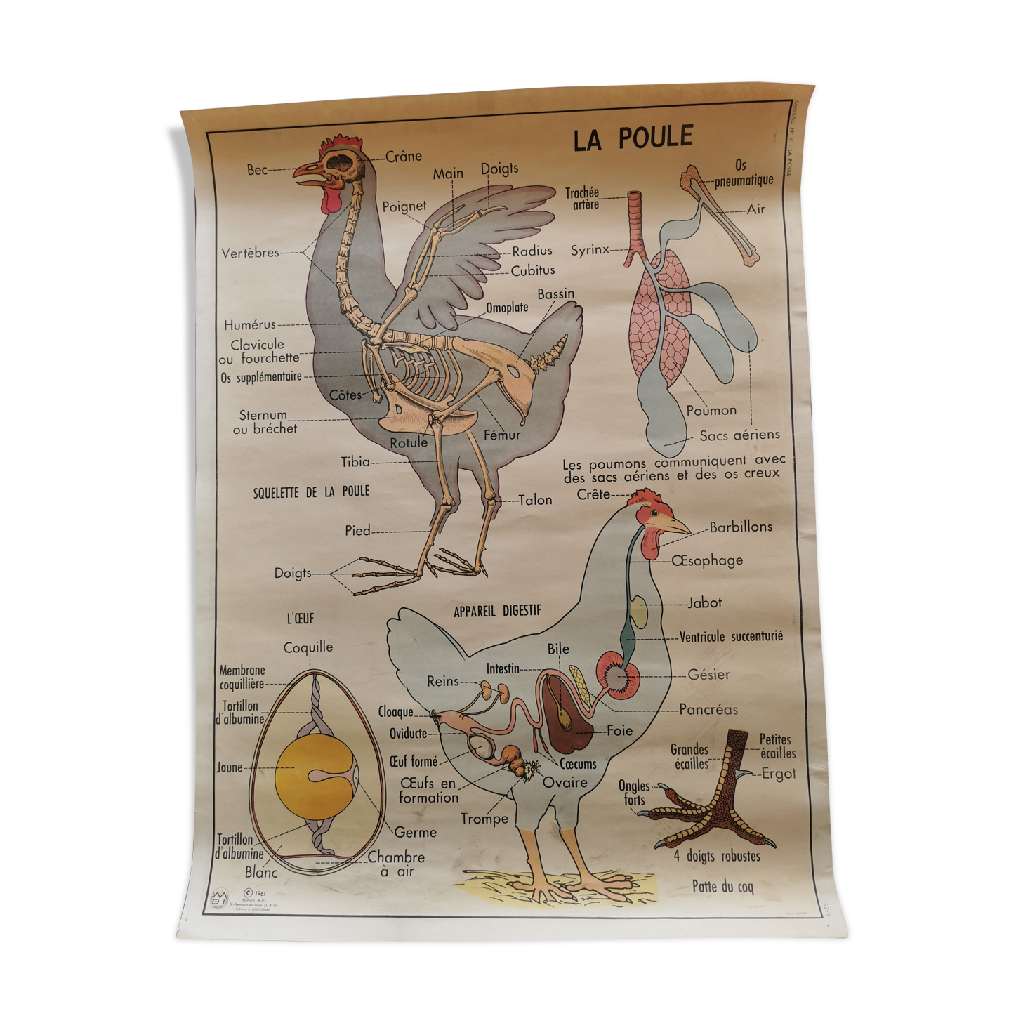 Old educational school poster