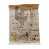 Old educational school poster