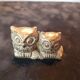 Couple de chouette et hibou aiton