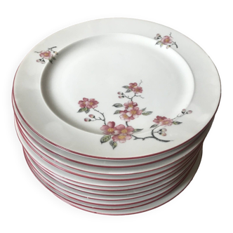 11 assiettes plates