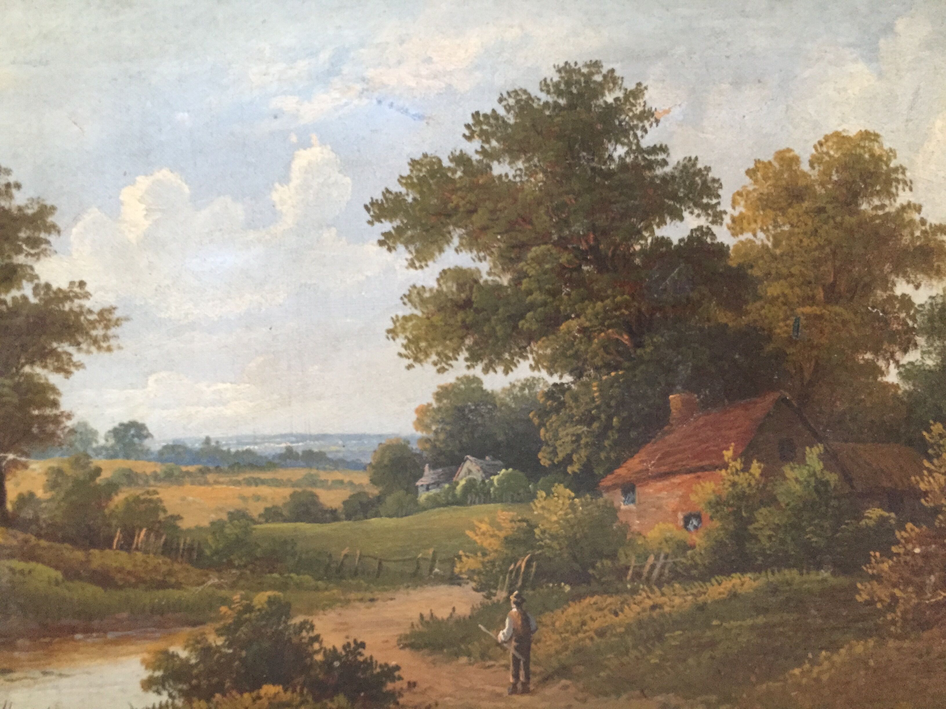 Panel oil: TM Hall's Animated Landscape