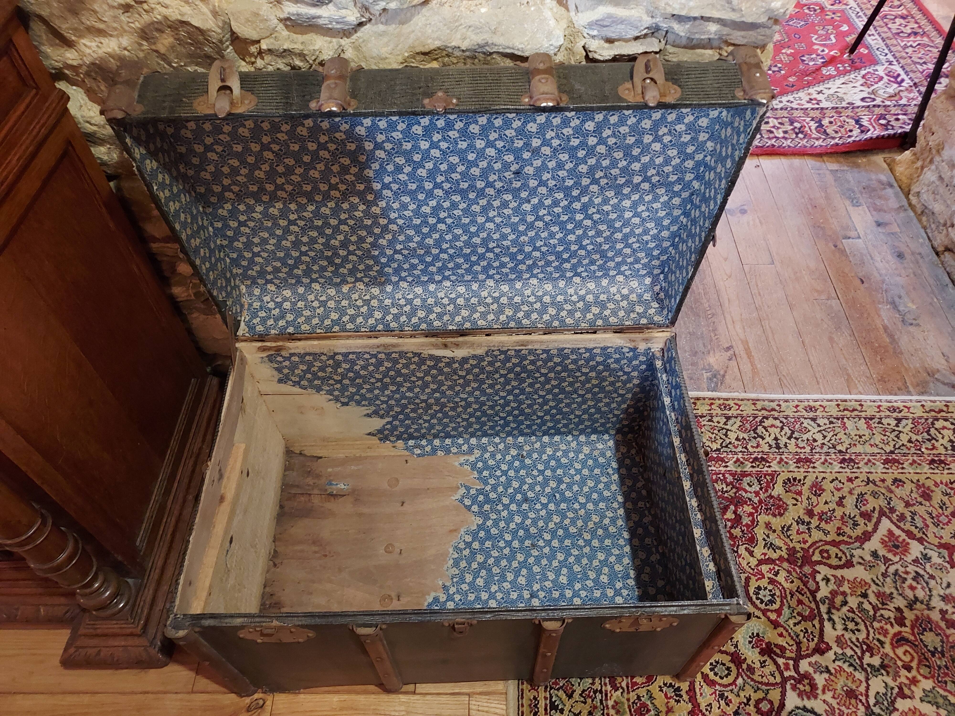 Trunk old snake skin pattern