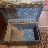 Trunk old snake skin pattern