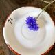 Coupelles de bistrot en porcelaine, Début XXe siècle