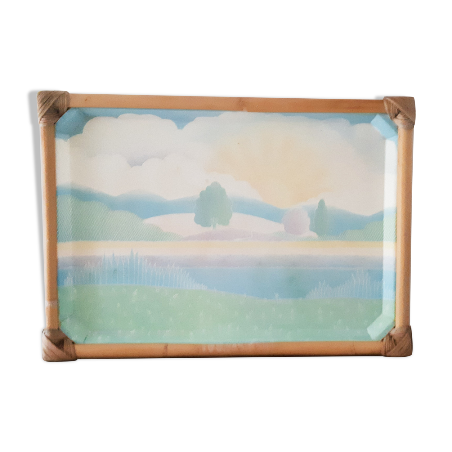 Fiberglass and rattan top