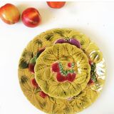Duo flat plate Slurry pattern fruits