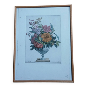 Gravure Botanique Vintage