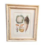 Framed botanical board, vegetables