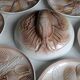 Shell service in slipware