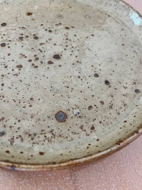 Set of 12 stoneware dinner plates