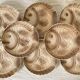 Vintage fish barbotine plates from Sarreguemines