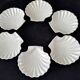 6 white Limoges porcelain shell-shaped dishes