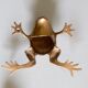 Frog brass  vintage