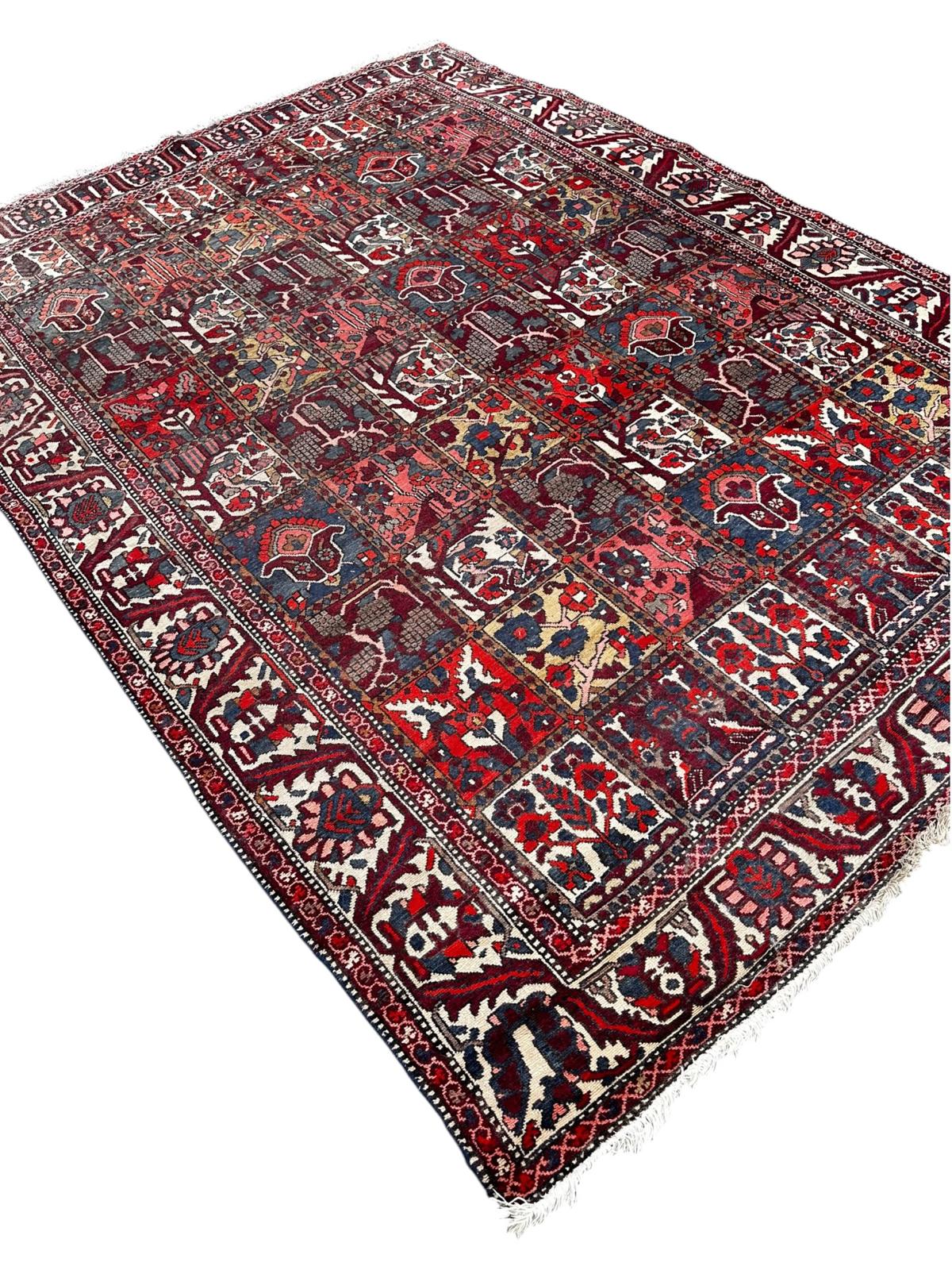 Bakhtiar carpet 230cm x 310cm