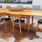Scandinavian dining room set, 6 chairs with extendable table 1950s