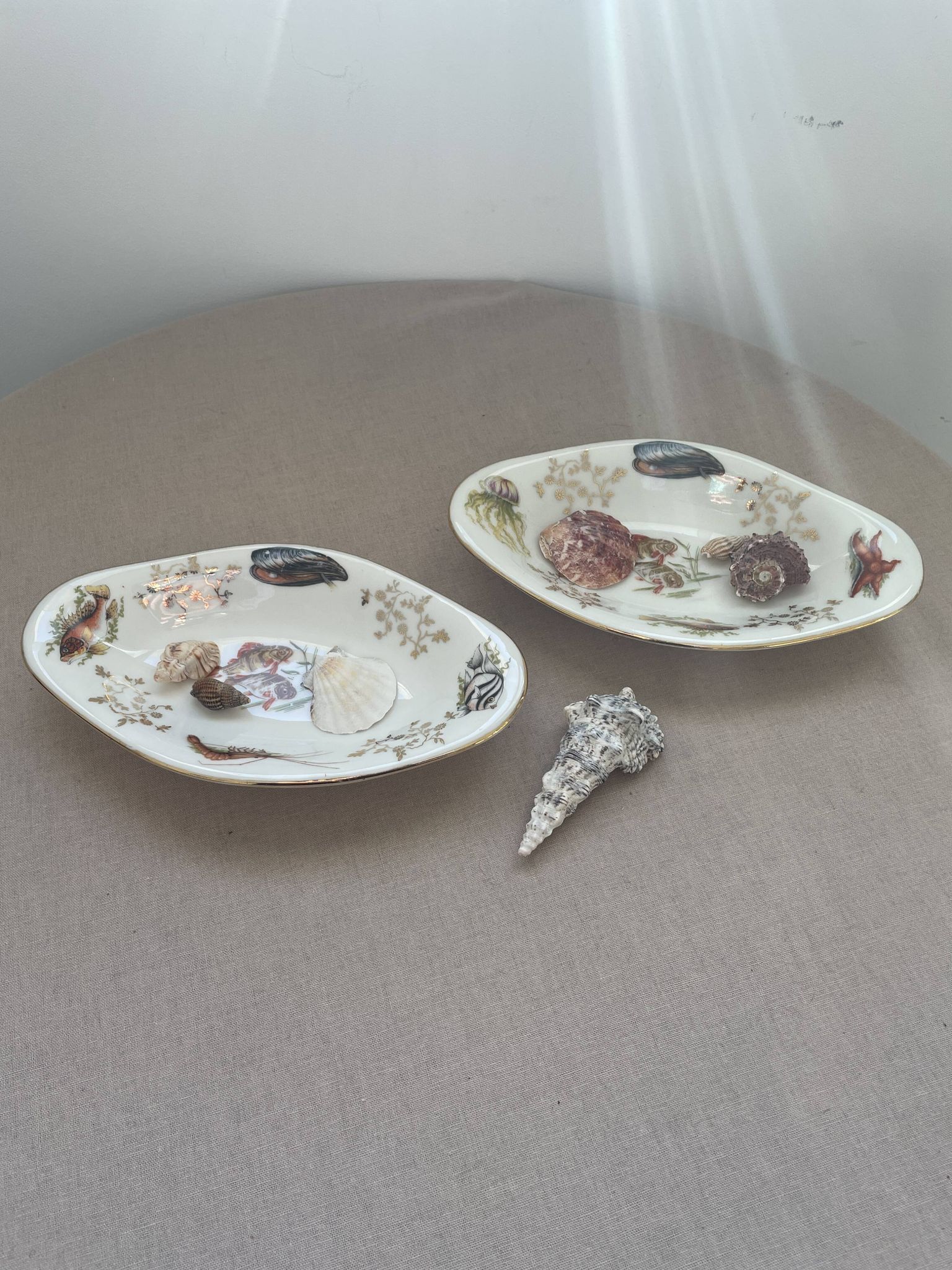 Pair of vintage marine-themed dishes in Berry porcelain.