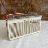 Decorative Radiola nomadic radio
