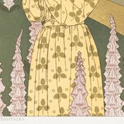 Affiche “Cytises et Digitales”, d’après une lithographie art nouveau