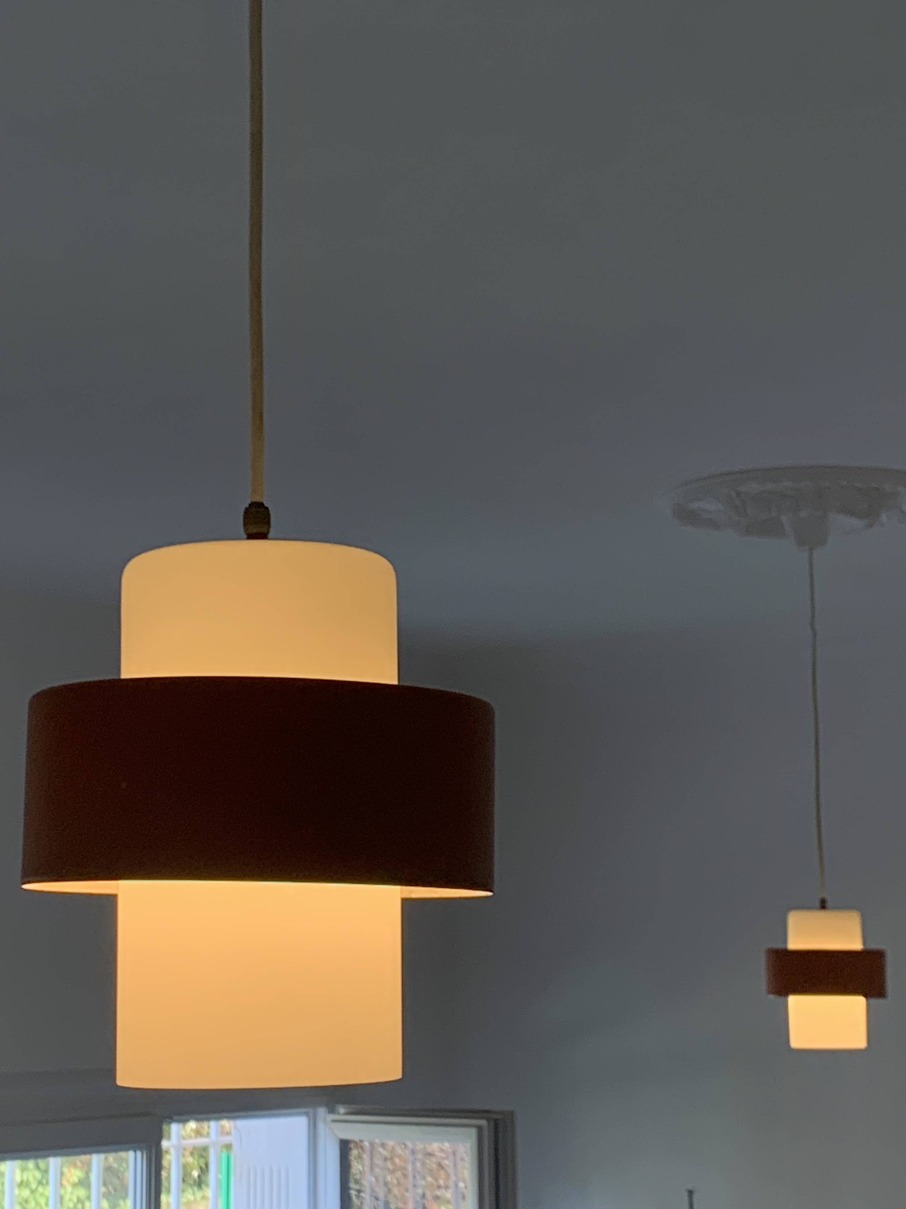 Paire suspension vintage 1960 Louis Kalff "Lierre" Philips carotte - 22 cm