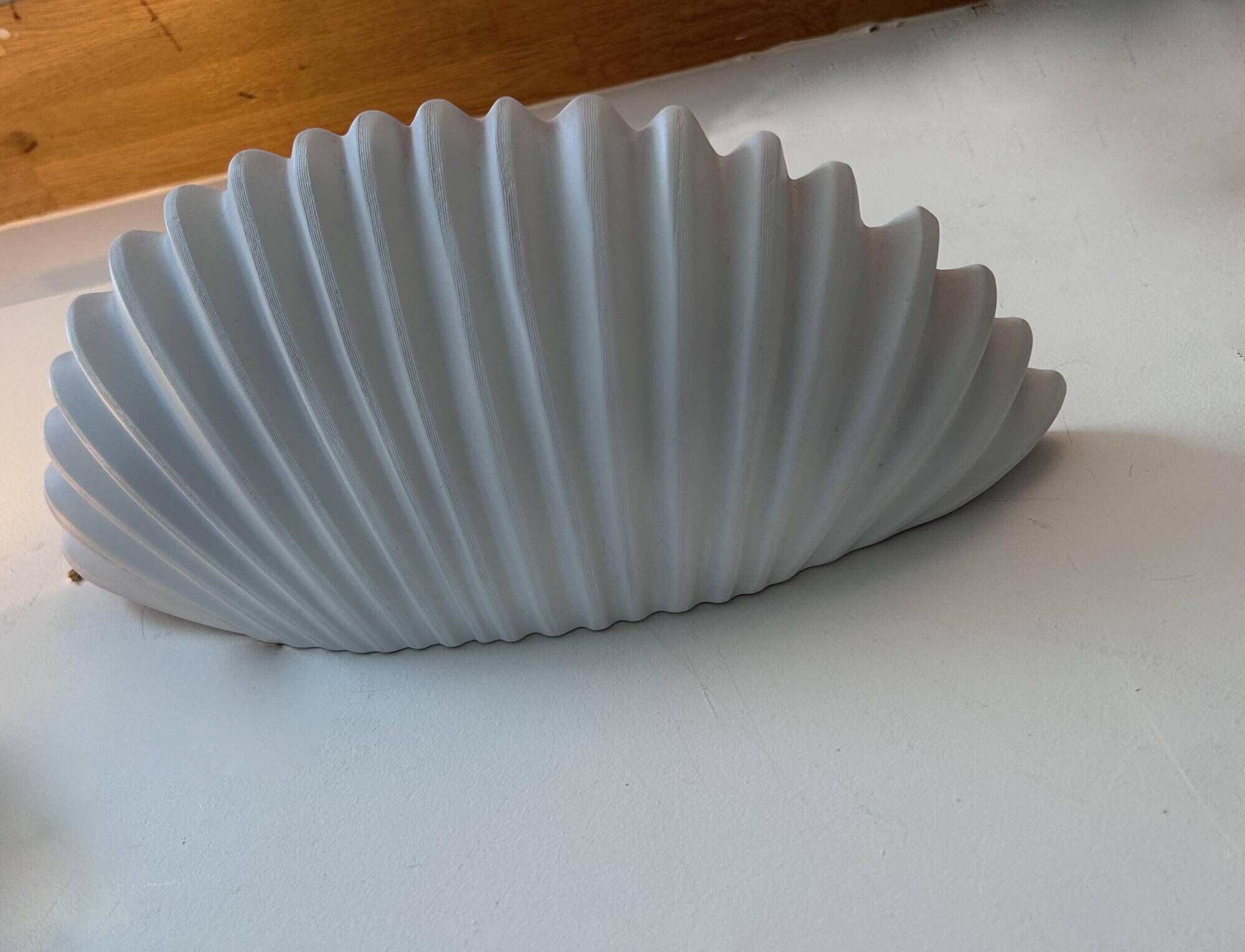 Pair of vintage shell wall lights, matte white, France 1970